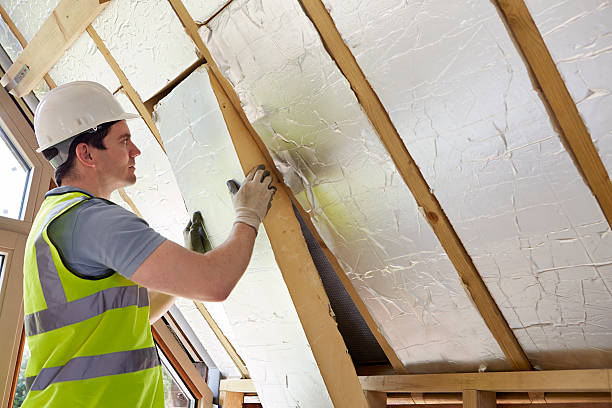 Best Home Insulation Services  in Winona, MS